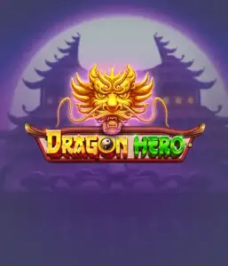 Присоединитесь к мифическое приключение с Dragon Hero от Pragmatic Play, представляющей потрясающую графику мощных драконов и героических битв. Исследуйте мир, где легенда встречается с волнением, с представляющими сокровищ, мистических существ и зачарованных оружий для захватывающего игрового опыта.